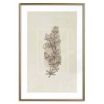 Set de poster Boceto campestre - planta con flores en estilo retro