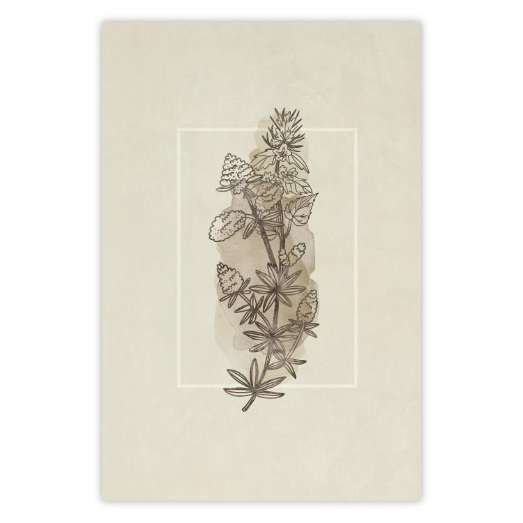 Boceto campestre - planta con flores en estilo retro