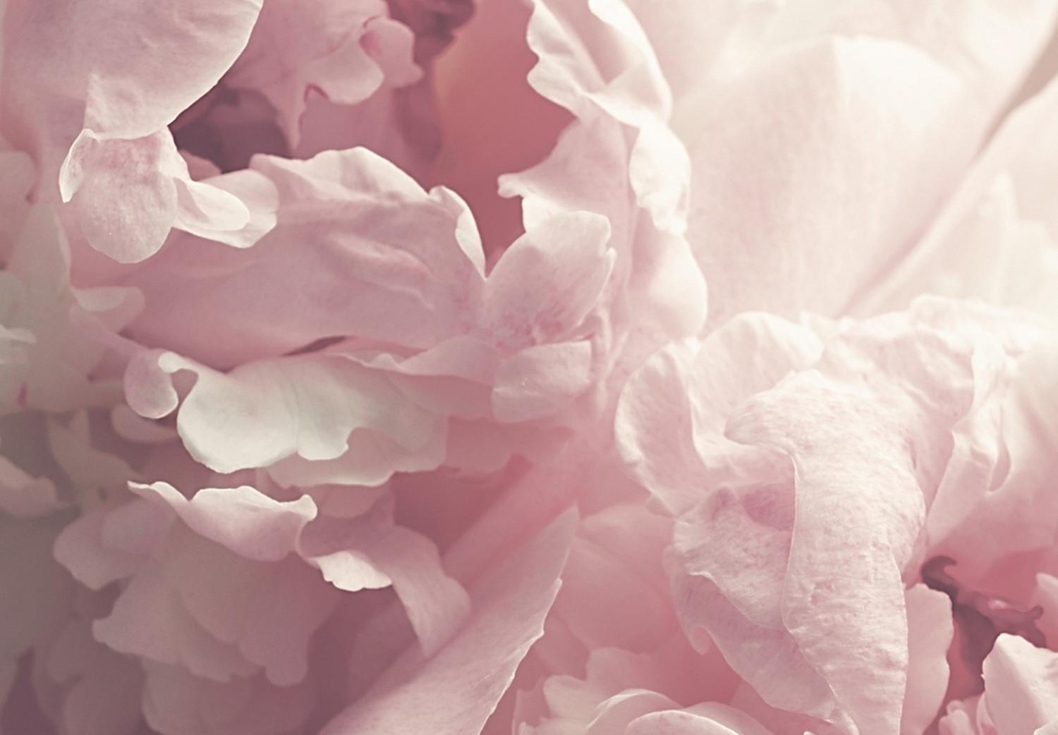 Set de poster Peonías delicadas - paisaje de campo con flores blancas y rosas
