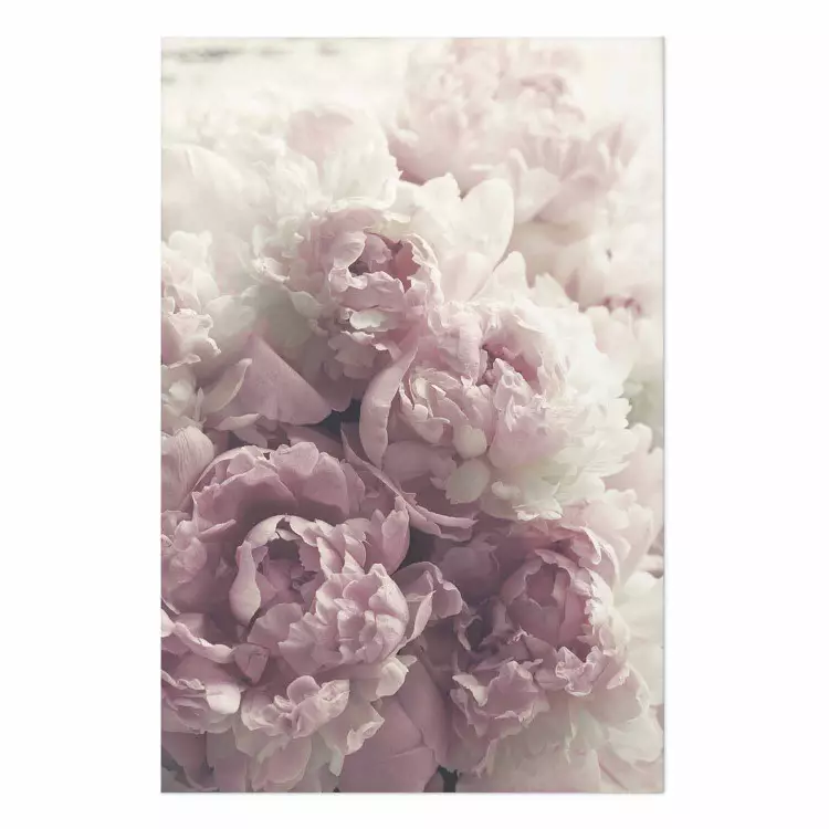 Set de poster Peonías delicadas - paisaje de campo con flores blancas y rosas