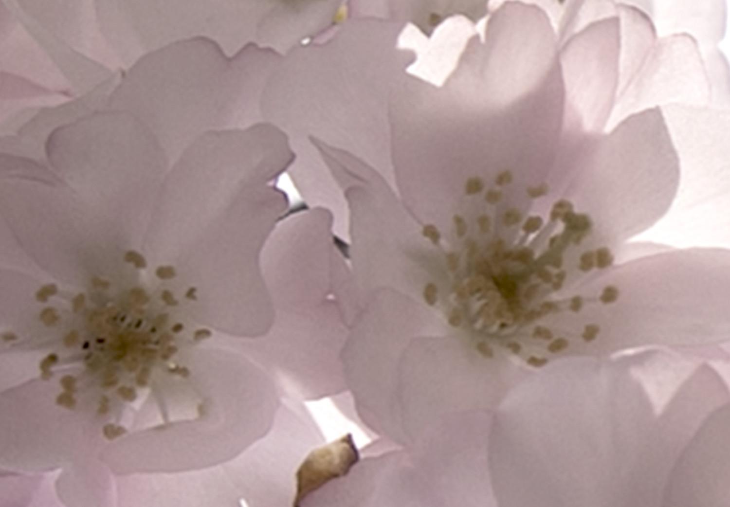 Cuadro decorativo Cherry Blossoms (1 Part) Vertical