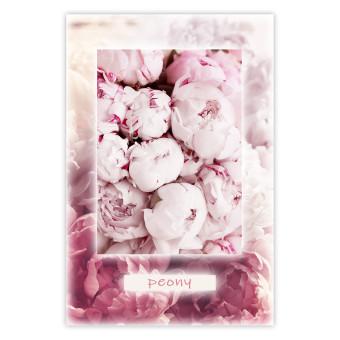 Cartel Delicadeza primaveral - pequeñas flores rosas y escritos en inglés