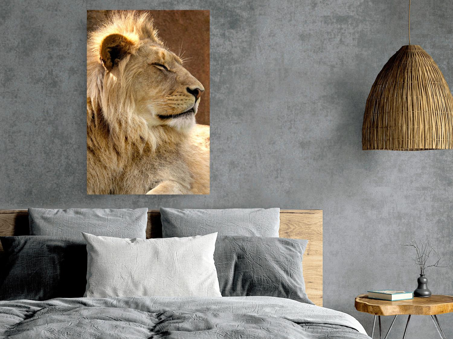 Cartel Siesta soleada - retrato de un león tropical en su entorno natural
