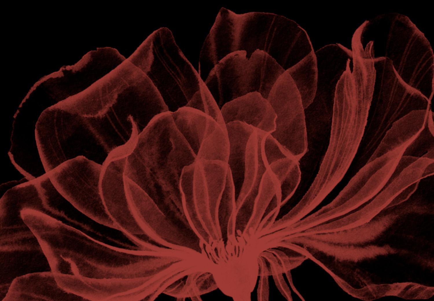 Cuadro Cuatro flores - composición con motivos florales sobre fondo negro