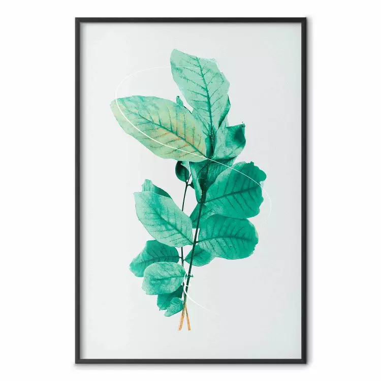 Gracia de menta - plantas con hojas de menta sobre fondo claro