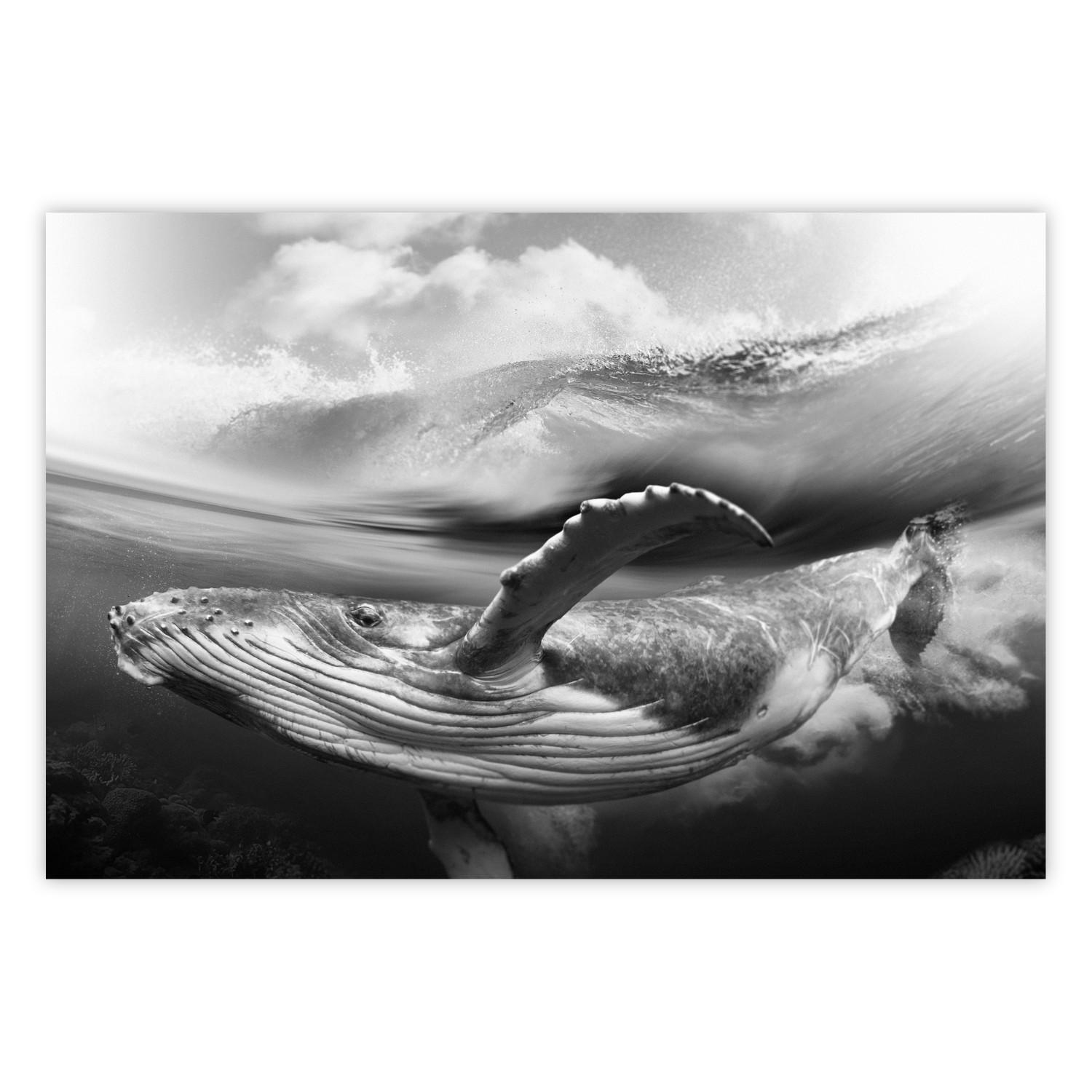 Poster Ballena blanco y negro - paisaje marino con ballena sobre fondo de ola