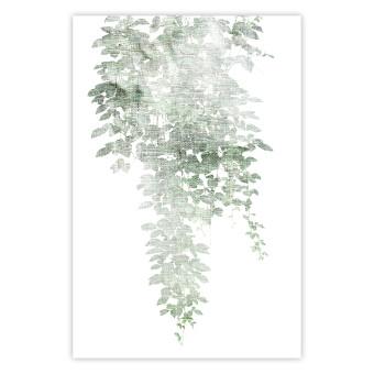 Póster Cascada verde - planta con hojas sobre textura ligeramente desenfocada
