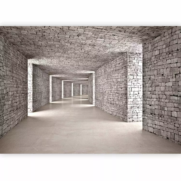 Mysterious Tunnel