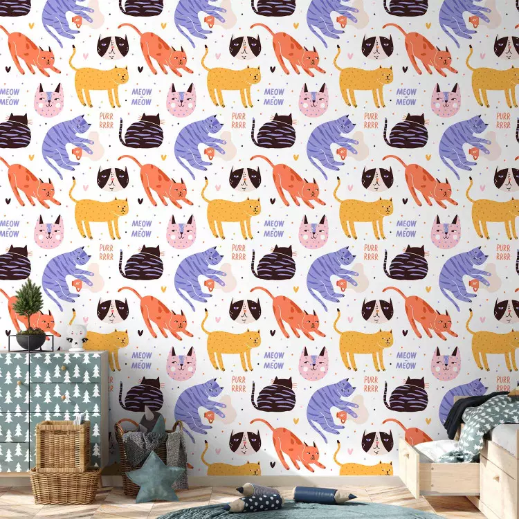 Papel decorado Cat Behaviors