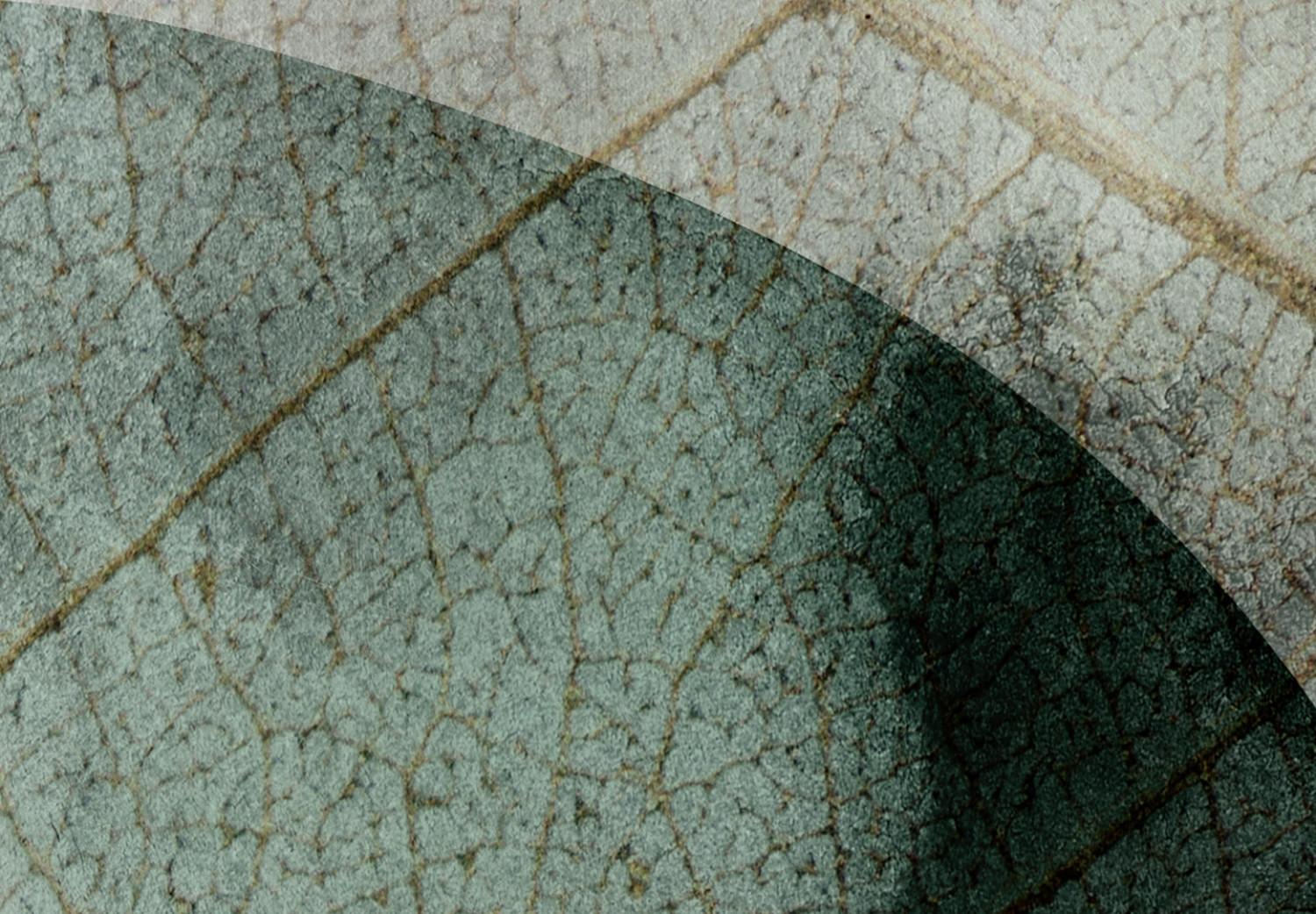 Cuadro Dos grandes hojas - motivos florales abstractos sobre fondo beige