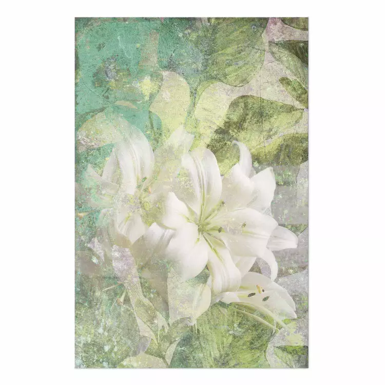 Poster Aliento verde - textura con flor blanca de lirio sobre fondo verde
