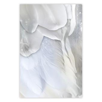 Poster Providencia - composición abstracta con plumas blancas y flores