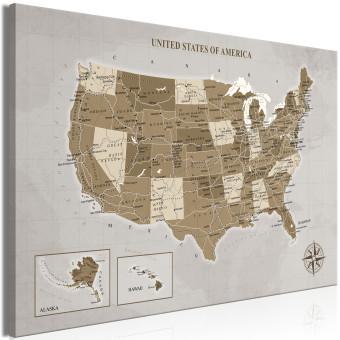 Cuadro decorativo Mapa de Estados Unidos de América - composición marrón