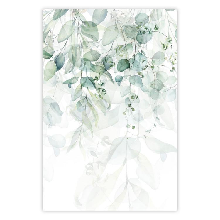 Delicado toque de la naturaleza - hojas en jungla sobre blanco