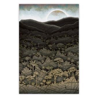 Poster Estructura de la jungla - textura de bosque sobre fondo de cielo