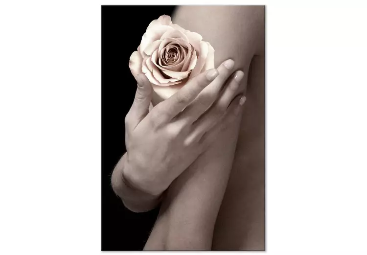 Rosa de té en la palma de la mano - foto de mujer con flor en la mano