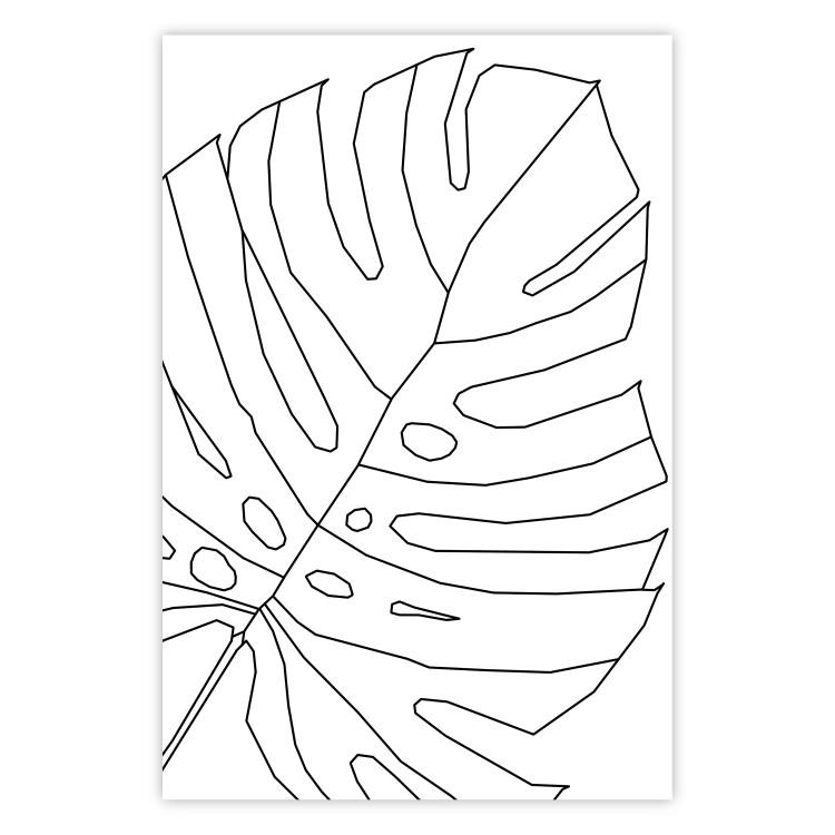 Dibujo de Monstera - line art de hojas de Monstera