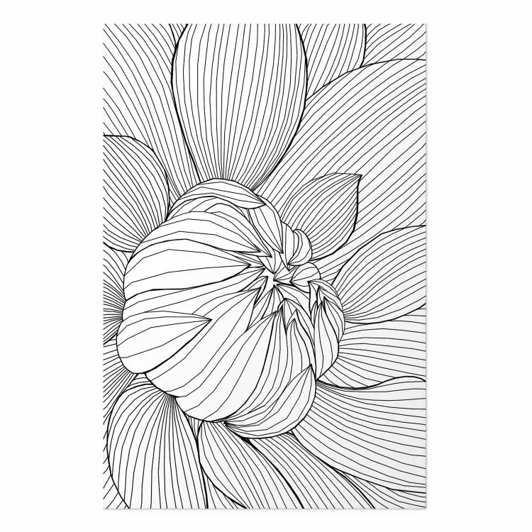 Cartel Flower Line [Poster]