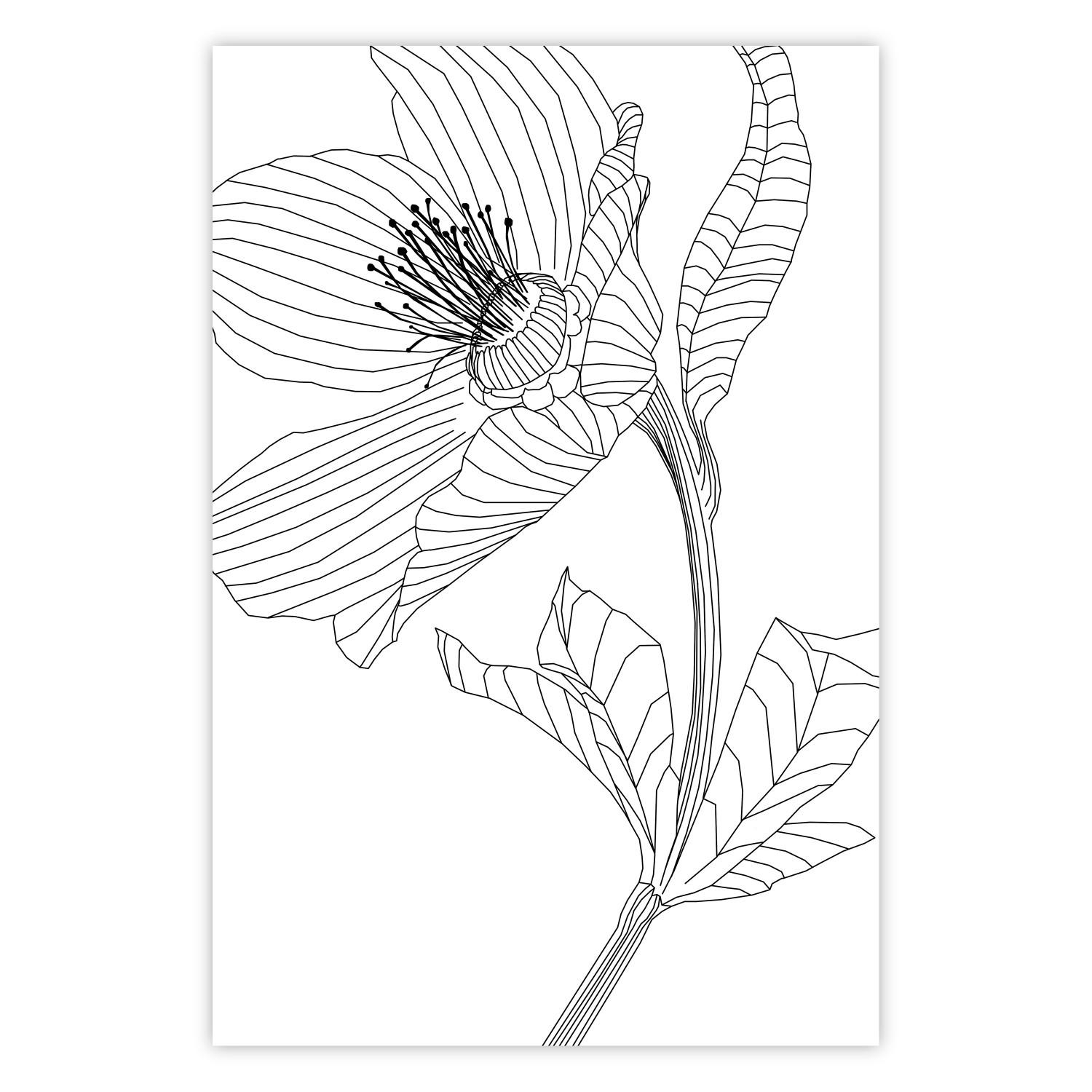Poster Boceto primaveral - line art abstracto de planta en negro