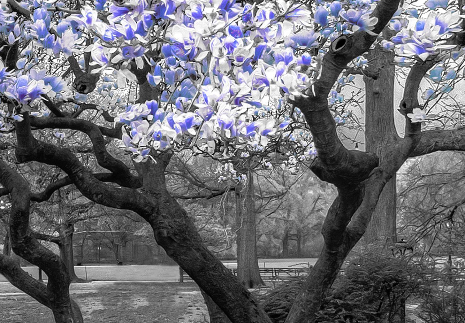 Cuadro XXL Magnolia Park - Violet [Large Format]