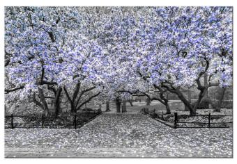 Cuadro XXL Magnolia Park - Violet [Large Format]