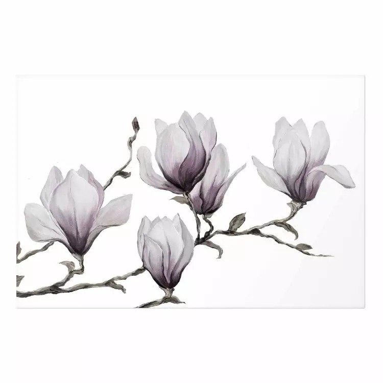 Póster Painted Magnolias [Poster]