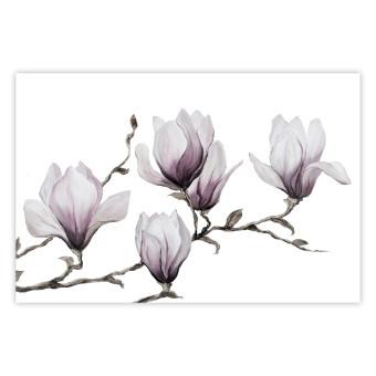 Póster Painted Magnolias [Poster]