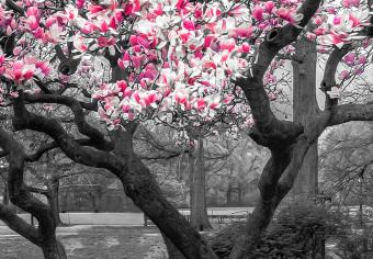 Cuadro decorativo Magnolia Park (1 Part) Wide Pink
