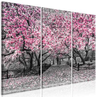 Cuadro moderno Magnolias en flor - un tríptico con magnolios y flores rosas