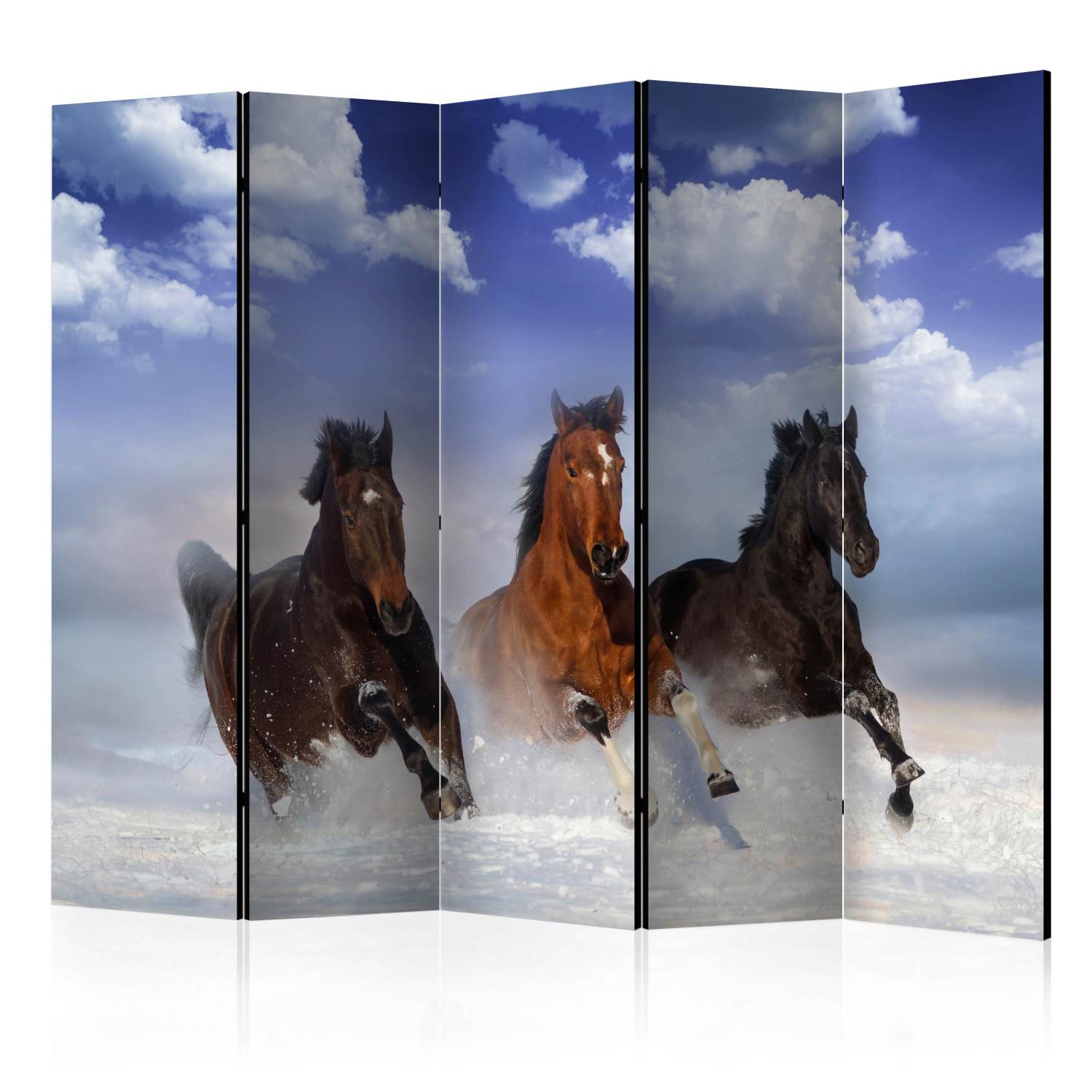 Biombo Horses in the Snow II [Room Dividers]
