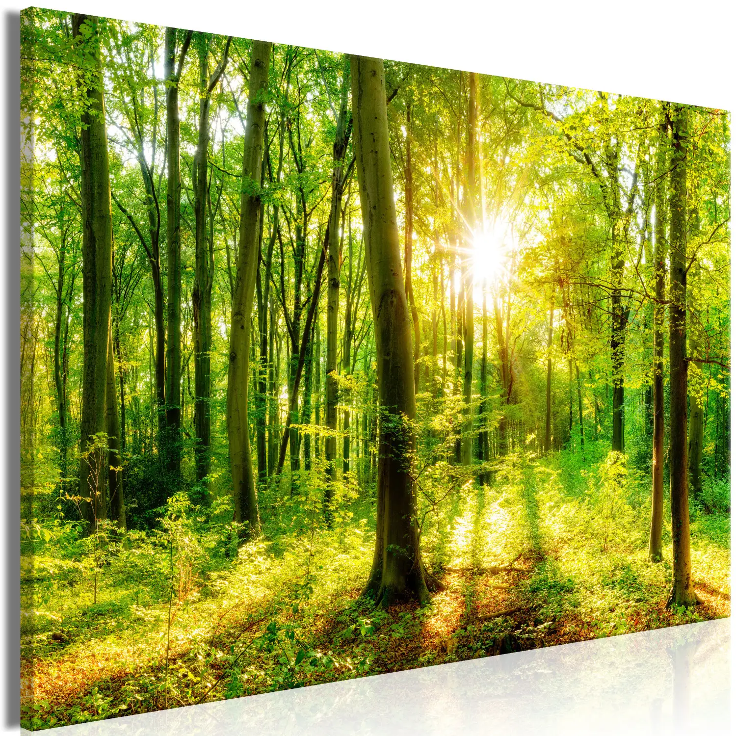 Kunstloft Cuadro Decorativo | 100% PINTADO A MANO | 120x60cm | Pintura 'Oráculo De Las Ideas' | Bosques Y árboles | Multicolor | Cuadro Moderno En Lienzo