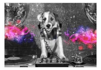 Fotomural Perro DJ - abstracto divertido en tonos de gris