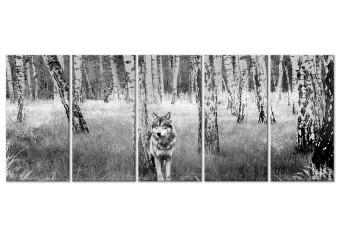 Cuadro moderno Depredador solitario (5 piezas) - lobo en bosque blanco y negro