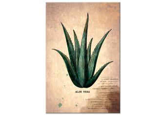 Cuadro decorativo Herbarium Page (1 Part) Vertical