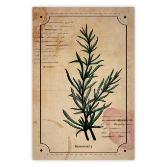 Cartel Sueño del herborista - composición con planta verde en estilo vintage