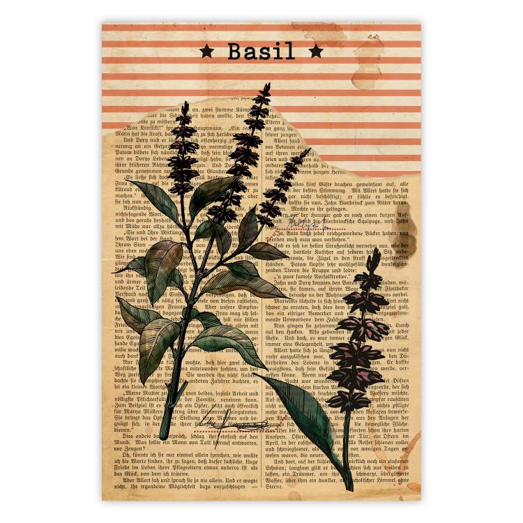 Poesía al basilico - composición vintage con plantas y letras
