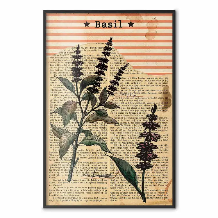 Poesía al basilico - composición vintage con plantas y letras