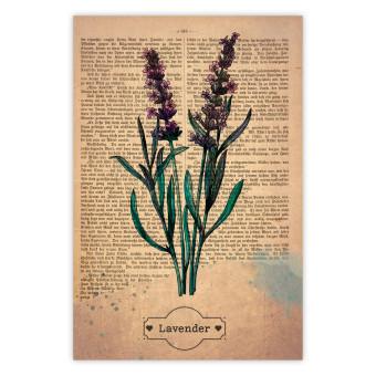 Póster Lavender Memory [Poster]