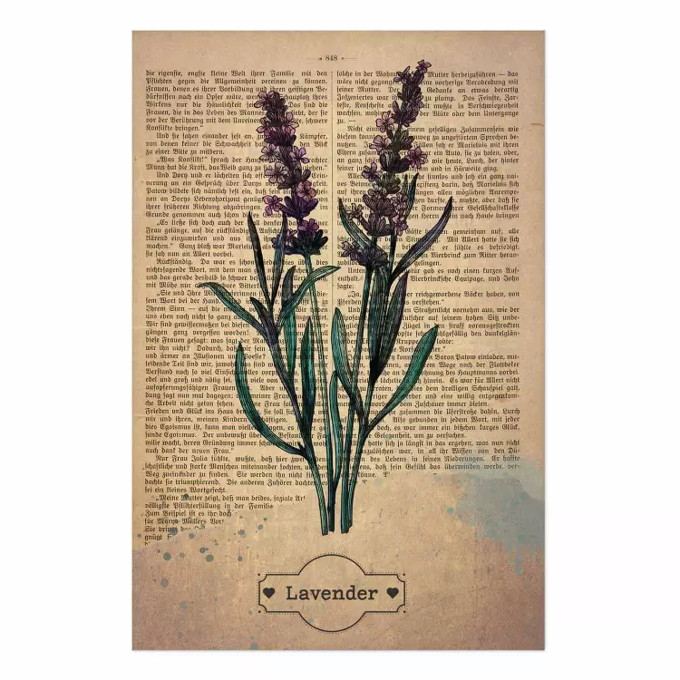 Póster Lavender Memory [Poster]