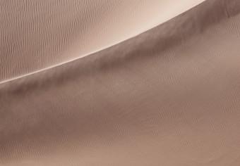 Cuadro moderno Tejido de arena (1 pieza) vertical - paisaje del desierto árabe