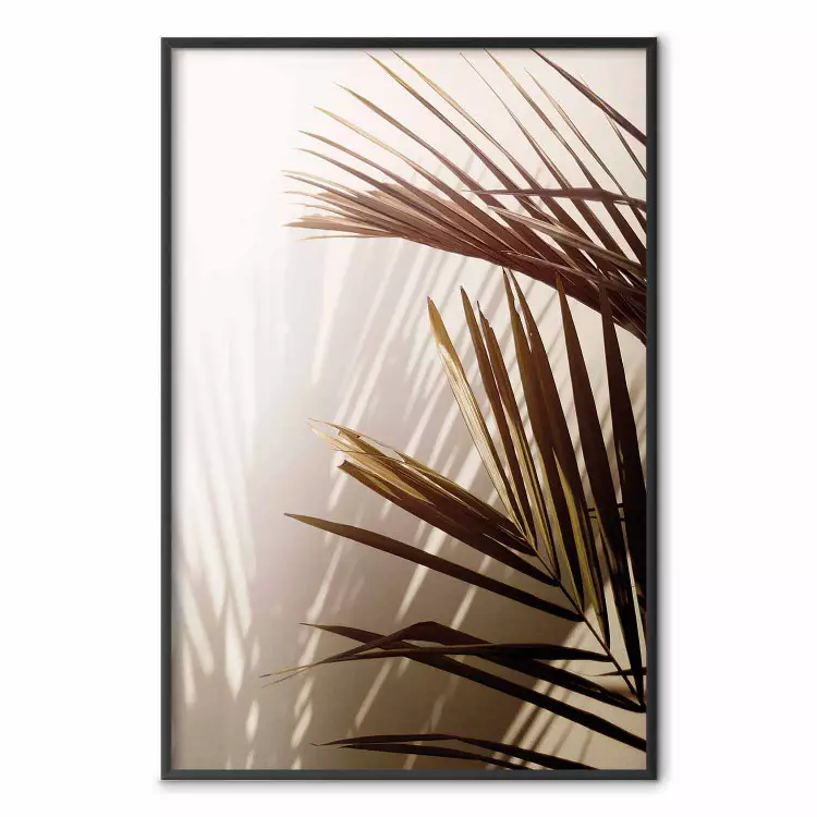 Tonos rítmicos: sepia - composición estival con hojas de palma