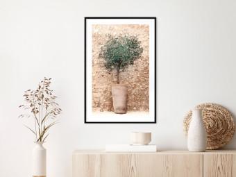 Set de poster Verde toscano - composición estival con planta verde en maceta