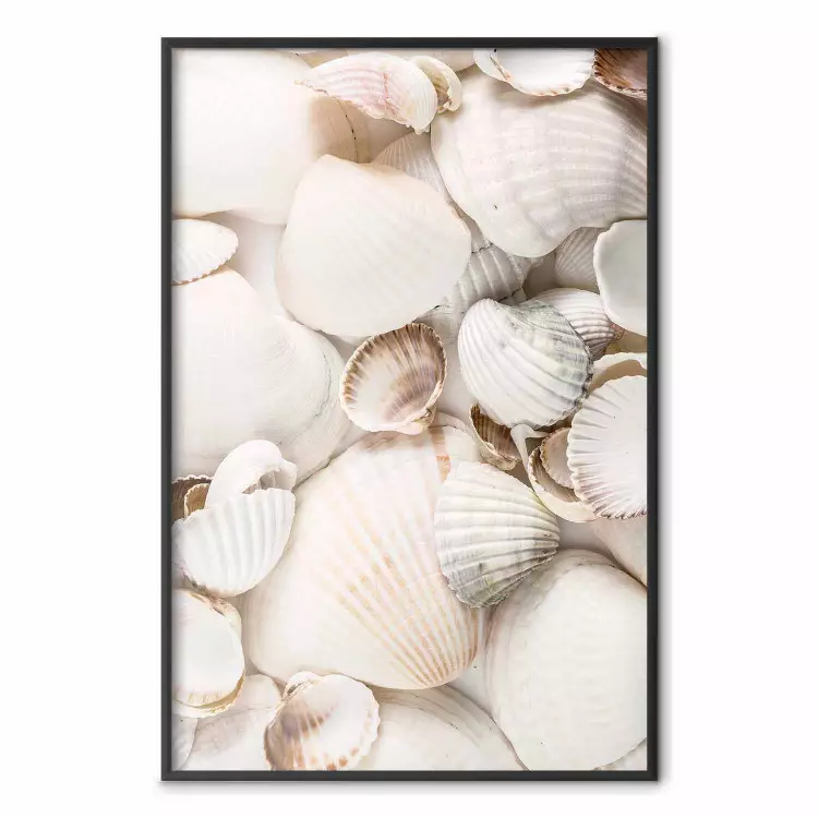 Colección marina - composición marina llena de conchas claras