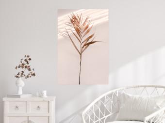 Poster Sombra exótica - planta con hojas marrones en pared uniforme