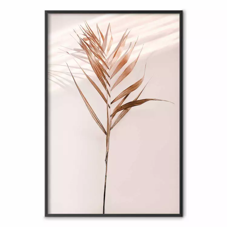 Sombra exótica - planta con hojas marrones en pared uniforme