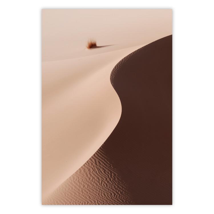 Serpentine: tranquilo paisaje de dunas en el desierto