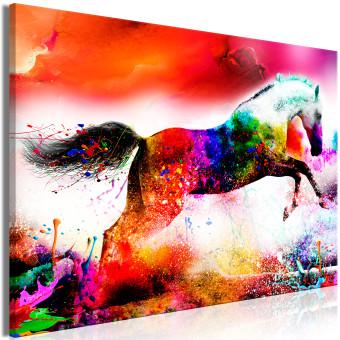 Cuadro moderno Semental alegre (1 pieza) ancho - animal colorido abstracto