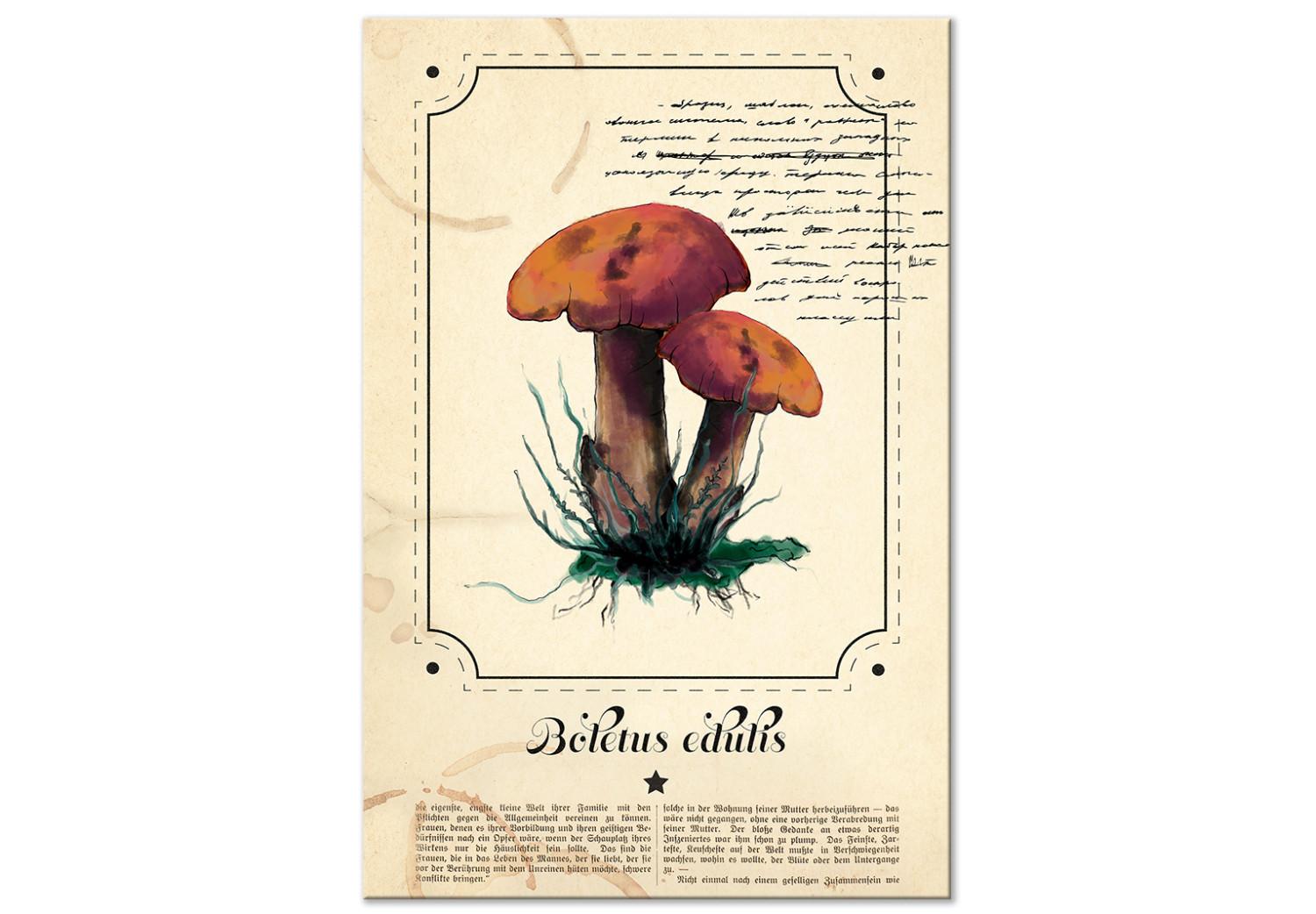 Cuadro Mushroom Guide Book (1 Part) Vertical