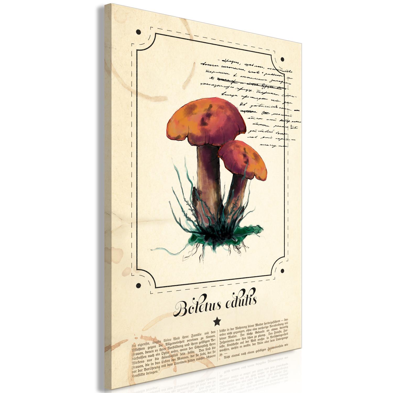 Cuadro Mushroom Guide Book (1 Part) Vertical