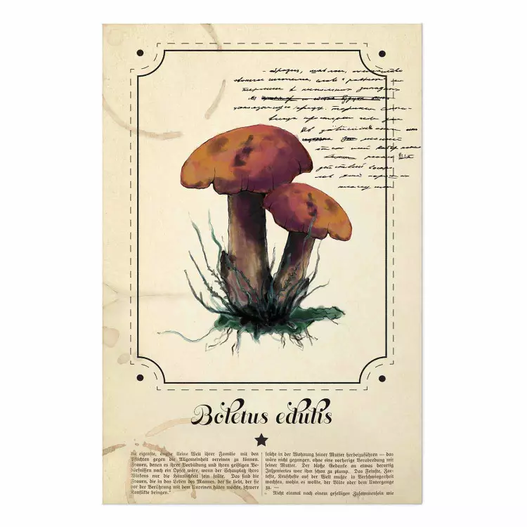 Póster Atlas de hongos - hongos marrones en fondo beige con letras negras
